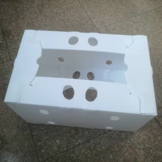 PP Correx Sheet для кукурудзяної коробки
