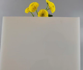 Білий лист матового Perspex